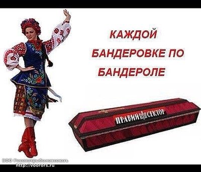 x6N6RIXc-YA.jpg