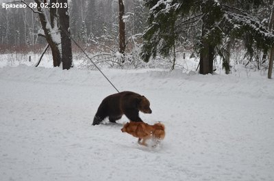 Фрязево1.jpg