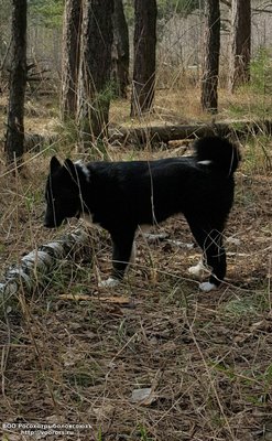 OwBikAqnGtI.jpg