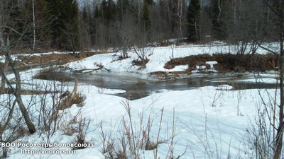 DSC_0006.JPG