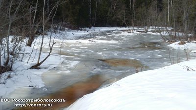 DSC_0008.JPG