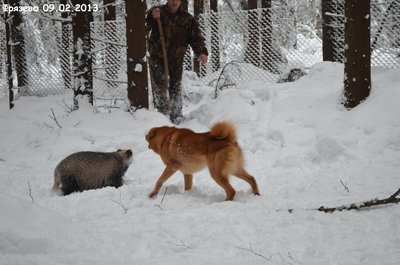 Фрязево0.jpg