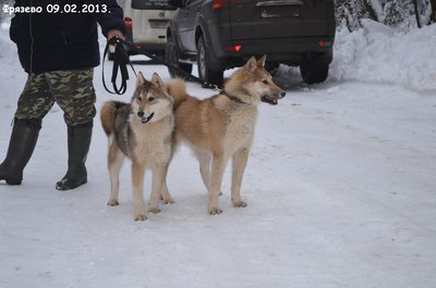 Фрязево0.jpg