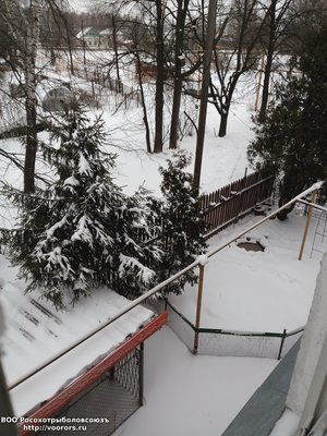 IMG_20170420_180543.jpg