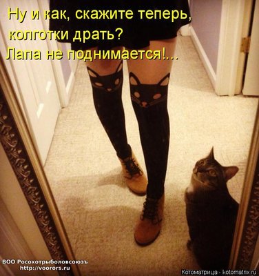 Колг.jpg