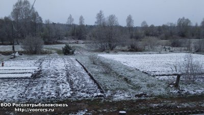 DSC_0017.JPG