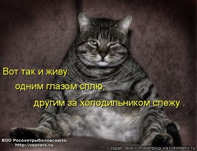 сл.jpg