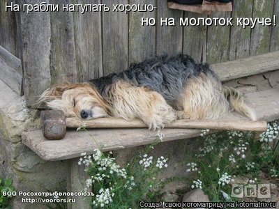 мол.jpg
