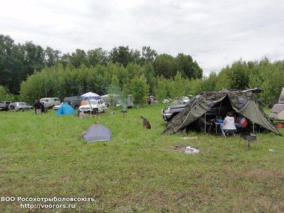 DSC08684.JPG