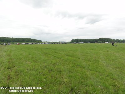 DSC08690.JPG