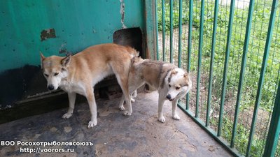 20170523_083311.jpg