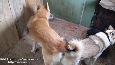 20170522_103502.jpg