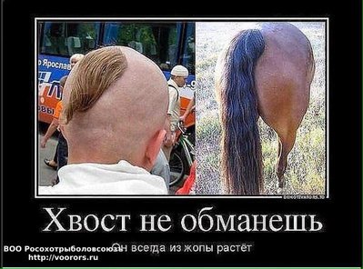 хв.jpg