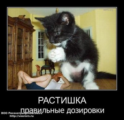 рас.jpg