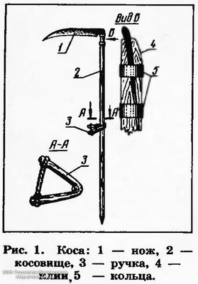 ris-1-kosa.jpg