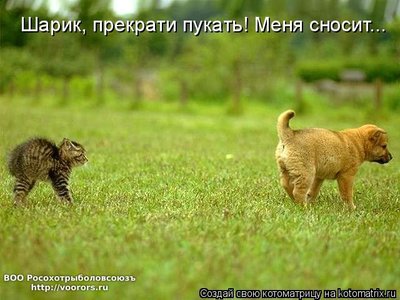 пук.jpg