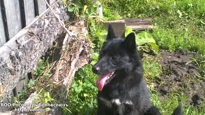 WP_20170722_10_21_16_Pro.jpg