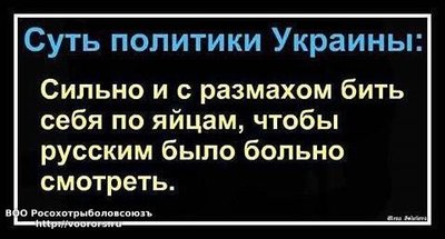 MxDMRzc836A.jpg