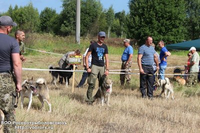 IMG-20170812-WA0006.jpg