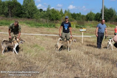 IMG-20170812-WA0001.jpg