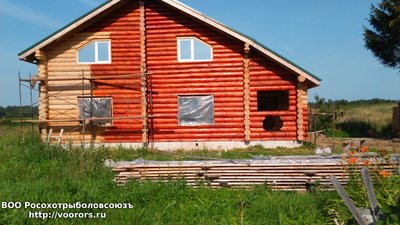 DSC_0001 (3).JPG