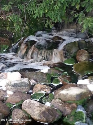 20170906_181200-1.jpg