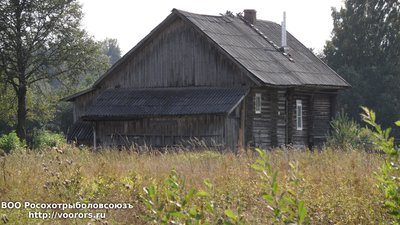 03.JPG