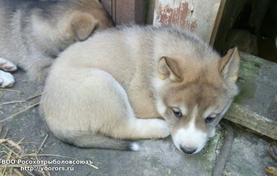IMG-20170921-WA0016.jpg