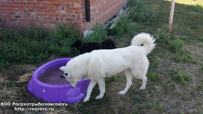 20170826_161306.jpg