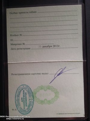 20171018_094407.jpg