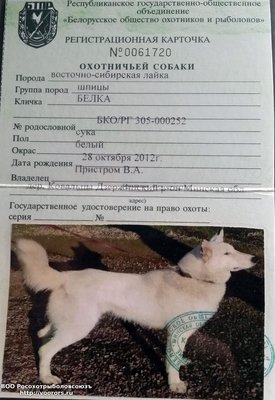 20171018_094329.jpg