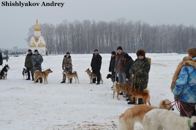 Левадия1.jpg