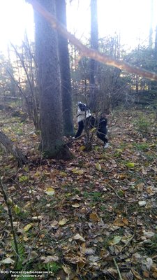 IMG_20171022_085348.jpg