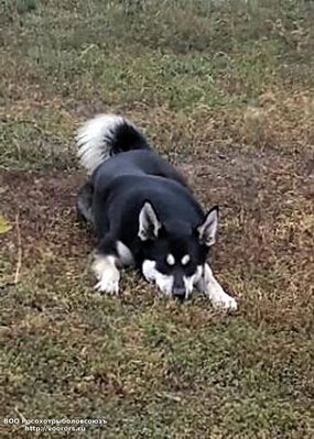 20171020_123711.jpg