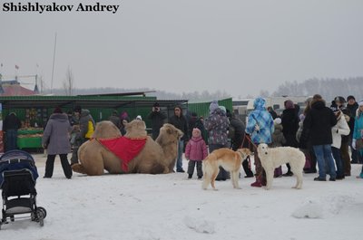 Левадия4.jpg