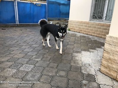 IMG-20171026-WA0015.jpg