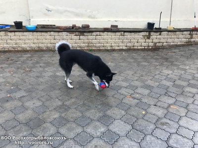 IMG-20171026-WA0016.jpg