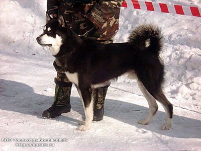 19108_АмурСеменова.jpg