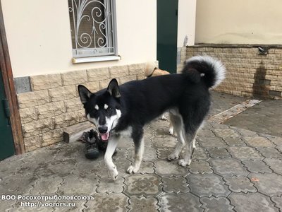 IMG-20171026-WA0018.jpg