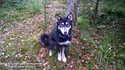 IMG-20171022-WA0010.jpg