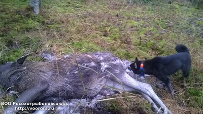 IMG-20171022-WA0011.jpg