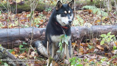 IMG-20171021-WA0004.jpg
