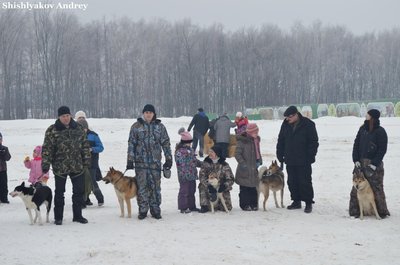 Левадия3.jpg