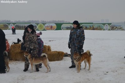 Левадия4.jpg