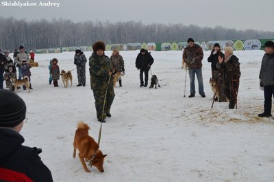 Левадия5.jpg