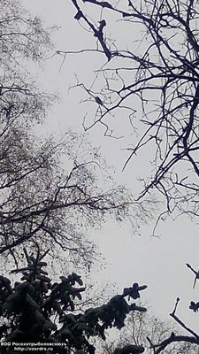 IMG_20171028_114516.jpg