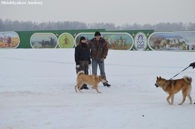 Левадия3.jpg