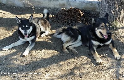 20170309_132936.jpg