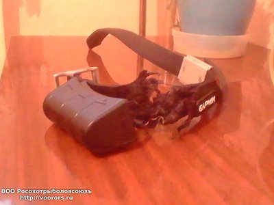 IMG_20141101_090221.jpg