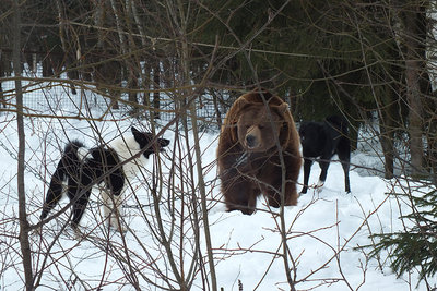 ©ШиряевКИ_00458_2013_фев 371 copy.jpg